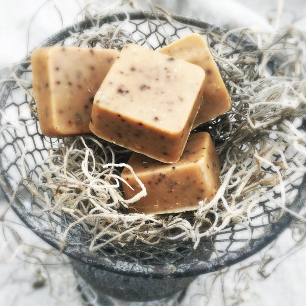 Soap ~  Cafe au Lait - Treasures of Alchemy